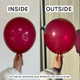 19" Standard Burgundy Gemar Latex Balloons (25)