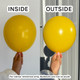 5" Standard Golden Yellow Gemar Latex Balloons (50)