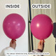 5" Standard Fuchsia Gemar Latex Balloons (50)