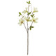 64cm Cream Dry Colour Magnolia Spray (1)