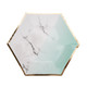 Medium Colour Block Marble Mint Paper Plates (8)