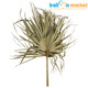 40cm Dried Natural Palm Sun Bunch - 5 Stems (1)