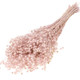 60cm Dried Pink Misty Linum (Flax) Bunch - 85g (1)