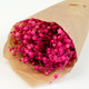 40cm Dried Pink Linum (Flax) Bunch - 100g (1)