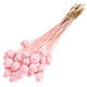60cm Dried Pink Misty Poppy Heads Bunch - 30-35 Heads (1)