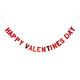 Happy Valentine's Day Red Banner - 2m (1)