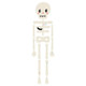 Hanging Spooky Skeleton Decoration - 1.1m (1)