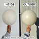 36" Lace Tuftex Latex Balloons (2)