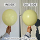 36" Lemonade Tuftex Latex Balloons (10)