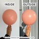 5" Pastel Matte Melon Sempertex Latex Balloons (100)
