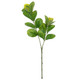60cm Green Silk Island Breeze Leaf Stem (1)