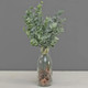 30cm Frosted Eucalyptus Bunch (1)