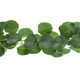 Eucalyptus Leaf Garland - 1.8m (1)