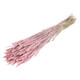 60cm Dried Pink Misty Tarwe Wheat Bunch - 200g (1)