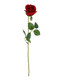 velvet red rose for valentine's day