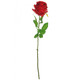 red rose stems for valetine's day decor