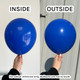 A pack of 50 260 Royal Blue Entertainer Balloons, manufactured by Prima!