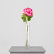 A Dried Touch Hot Pink Closed Peony Pick, measuring approx. 48cm!