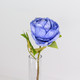A Dried Touch Blue Closed Peony Pick, measuring approx. 48cm!