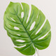 48cm Green Tarovine Leaf