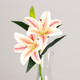 39cm Cream & Pink Stargazer Lily Pick