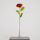 A 71cm Crimson Sunflower stem
