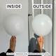 12" Fashion White Sempertex Latex Balloons (12)