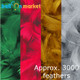 Festive Feather Pack - 4 Colours (Approx. 3000)