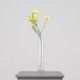 A Yellow Cosmos Daisy Spray, measuring approx. 60cm!