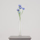 A Blue Cosmos Daisy Spray, measuring approx. 60cm!
