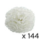 A white coloured carnation head