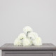 An ivory coloured carnation head