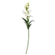 A White Snapdragon Flower, measuring approx. 59cm!