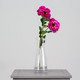 A magenta anemone spray, measuring 50cm.