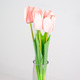 48cm Pale Pink Tulip Bunch 48cm Pale Pink Tulip Bunch