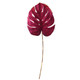 A Magenta Velvet Monstera Stem, measuring approx. 80cm!