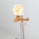 A 55cm cream glittered rose stem