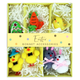 An Easter Chick Bonnet Accessories Set.