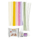 Crepe Paper Pastel Flowers Craft Kit (1)