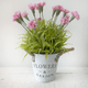 Pink Potted Carnations in a Metal Pot, measuring approx. 27cm.