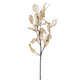 An 80cm Autumn Beige Magnolia Branch.