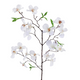 A 60cm Cream Spring Cherry Blossom.