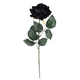 A 47cm Black Velvet Rose Stem.