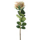 A Vintage Ivory Garden Rose. A Vintage Ivory Garden Rose.