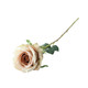 A Vintage Ivory Garden Rose. A Vintage Ivory Garden Rose.
