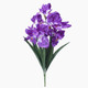 A 63cm Violet Iris Spray.