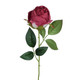 A 56cm Burgundy Rose Stem.