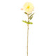 A 66cm Cream Austin Rose Stem.