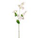 A 70cm Real Touch Ivory Sweet Pea Spray.