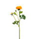 A 55cm Real Touch Orange Ranuncula Spray.